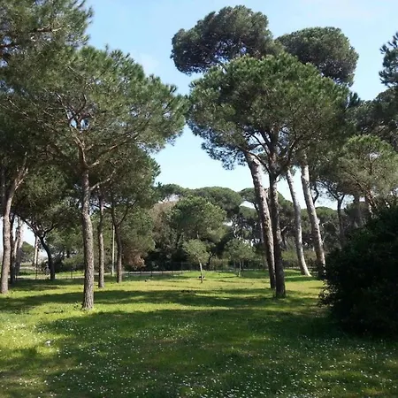 - Paradise Near Airport Fiumicino Дом отдыха